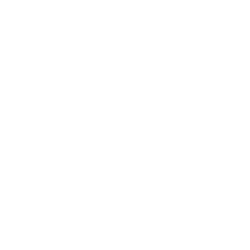 V logo
